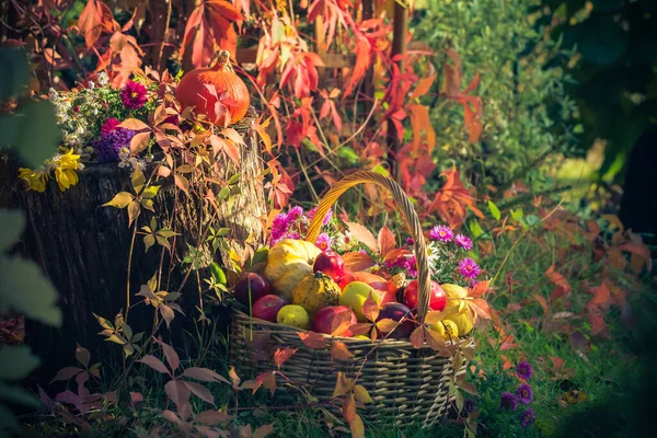 庭の季節 秋のフルーツ ギフトのバスケット — ストック写真