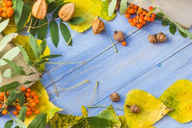 kalem kitap kavramı geri okul sonbahar meyve
