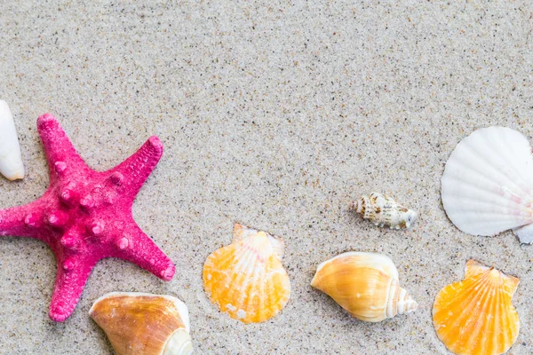 Conchas de mar colorido tablero de arena — Foto de Stock