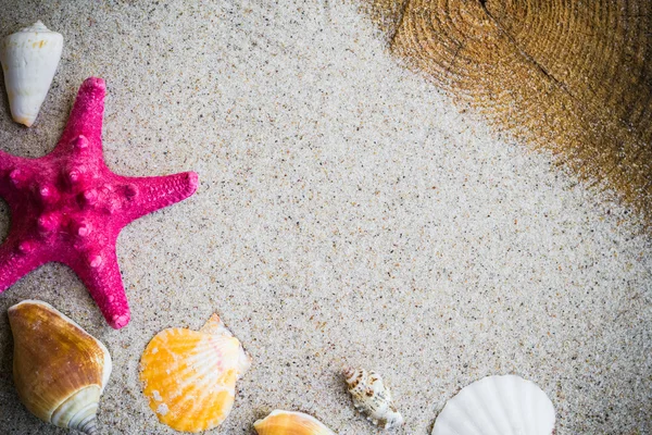 Conchas de mar colorido tablero de arena — Foto de Stock