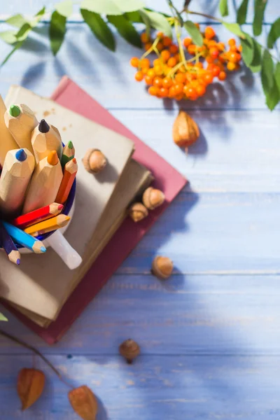 Lápices libros concepto volver escuela otoño fruta — Foto de Stock