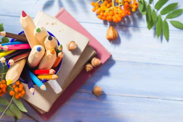 Potloden boeken concept terug herfst schoolfruit — Stockfoto