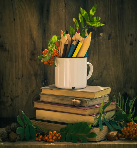 Natureza morta conceito de volta à escola — Fotografia de Stock