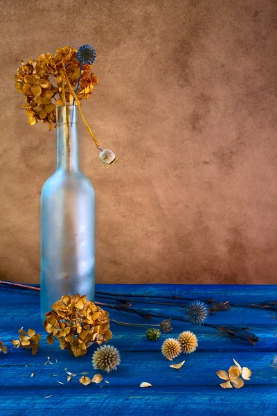Still life dried flowers bottle — Stock Photo, Image