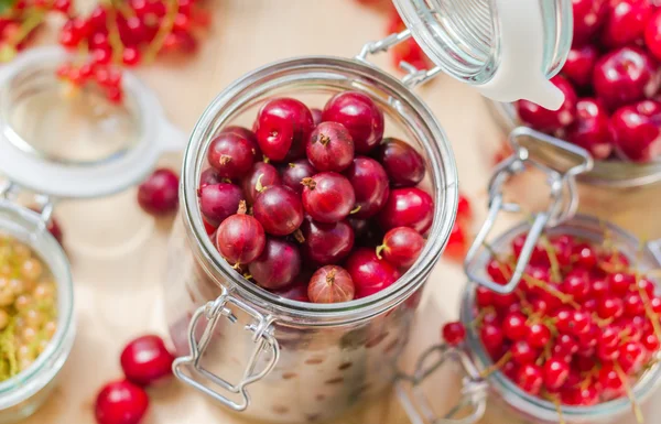 Top view summer fruits prepared Preserving — Stock Photo, Image