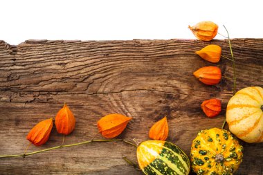 hediyeler sonbahar eski yönetim kurulu alanı metin