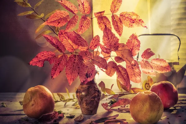 Fall Autumn autumnal bouquet Still Life apples sprigs — Stock Photo, Image