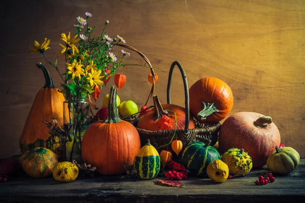 Halloween otoño calabaza ajuste mesa naturaleza muerta vintage —  Fotos de Stock