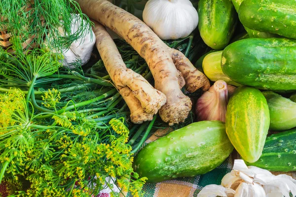 Ingrediënten voorbereiding gepekelde komkommers — Stockfoto