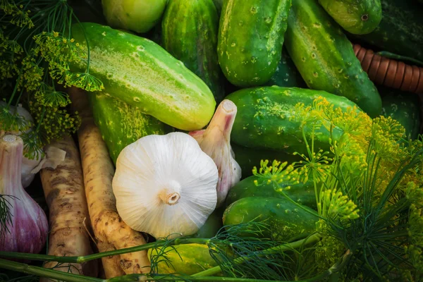 Ingrediënten voorbereiding gepekelde komkommers — Stockfoto