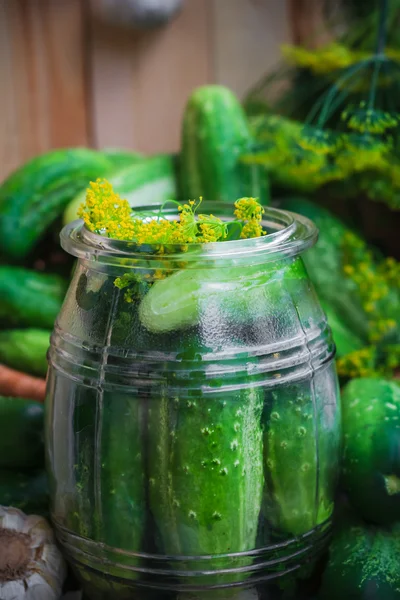 Pot pickles andere ingrediënten beitsen — Stockfoto