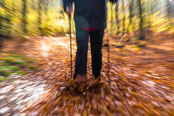 Nordic Walking Sport Run Walk Motion verschwimmen Outdoor-Person Beine für — Stockfoto