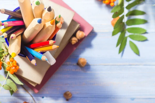 Lápis livros conceito volta escola fruta do outono — Fotografia de Stock