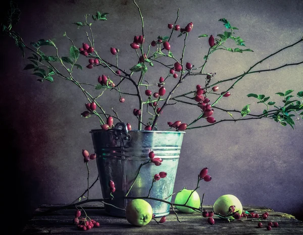 Natura morta rami biancospino mele — Foto Stock