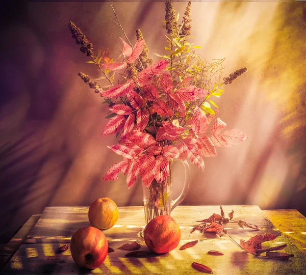 Spadek jesienią jesienny bukiet martwa jabłka gałązek — Zdjęcie stockowe