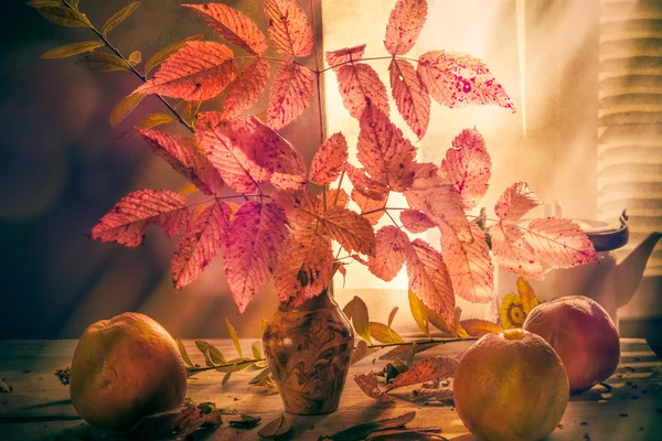 Herfst herfst boeket stilleven appels takjes vallen — Stockfoto