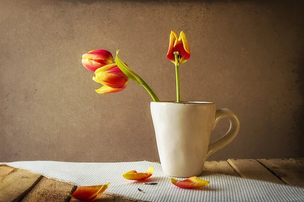 Transiencia Bodegón tulipanes taza pétalos —  Fotos de Stock