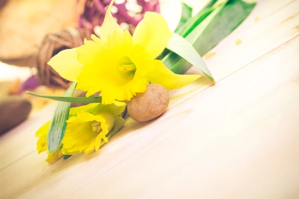 Spa inställningen blomma zen stenar — Stockfoto