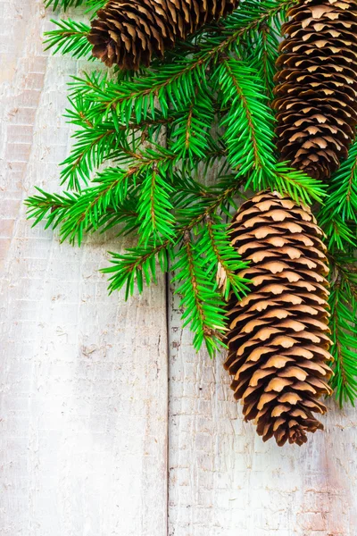 Albero di Natale pino abete rosso — Foto Stock