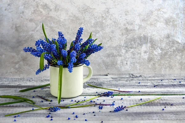 Still life bouquet spring flowers blue — Stock Photo, Image