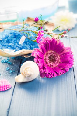 Elements spa Bakımı ahşap tablo