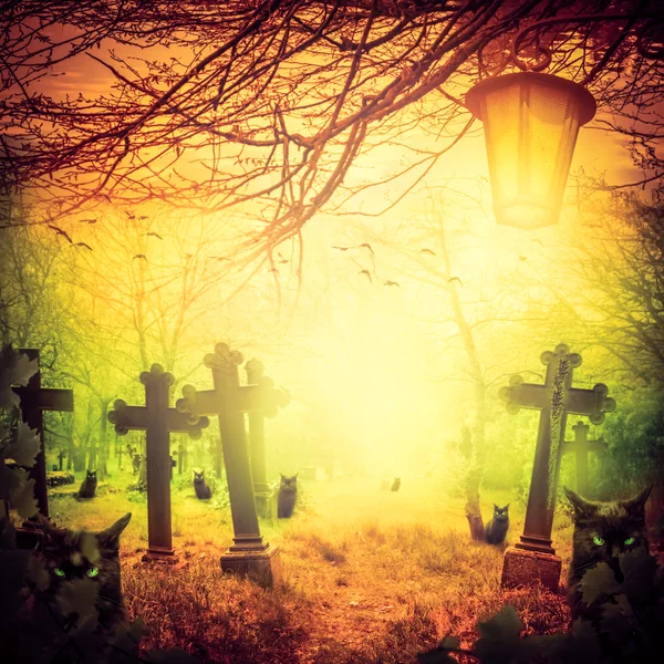 Halloween illusztráció éjszaka temető régi graves macskák lámpák — Stock Fotó