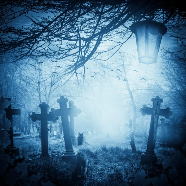 Kediler fenerler Halloween illüstrasyon gece mezarlıkta eski mezarları
