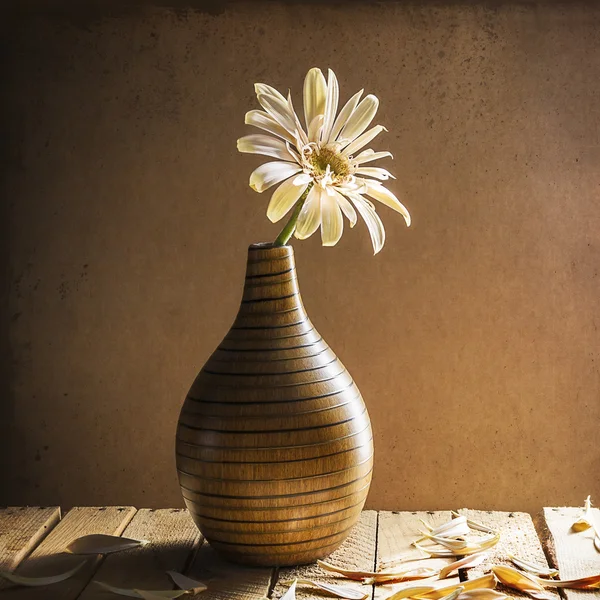 Martwa gerbera biały brązowy wazon — Zdjęcie stockowe