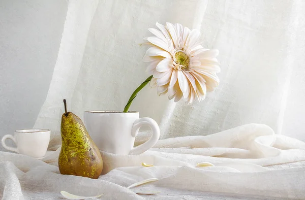 Still life white gerbera cup pear — Stock Photo, Image