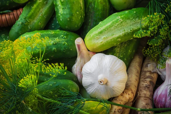 Ingrediënten voorbereiding gepekelde komkommers — Stockfoto