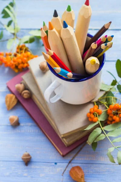 Lápis livros conceito volta escola fruta do outono — Fotografia de Stock