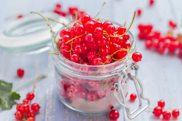 Rote Johannisbeere Fruchtglas Holztisch — Stockfoto