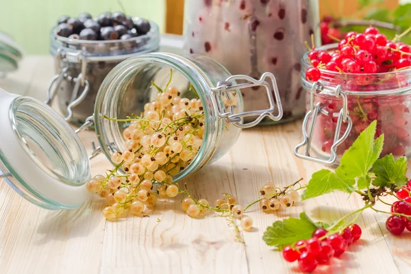 White black red currants gooseberries cherries jars preparations — Stock Photo, Image