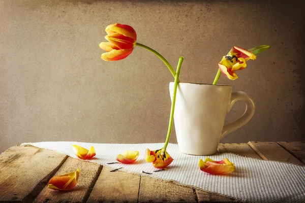 Transienza Natura morta tulipani tazza petali — Foto Stock