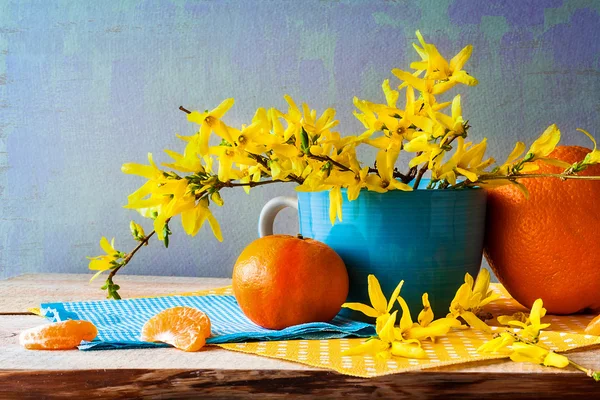 Stilleben våren bukett gula forsythia apelsiner — Stockfoto