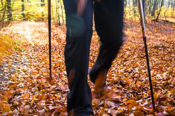 Nordic walking sport run walk motion blur outdoor person legs fo — Stock Photo, Image