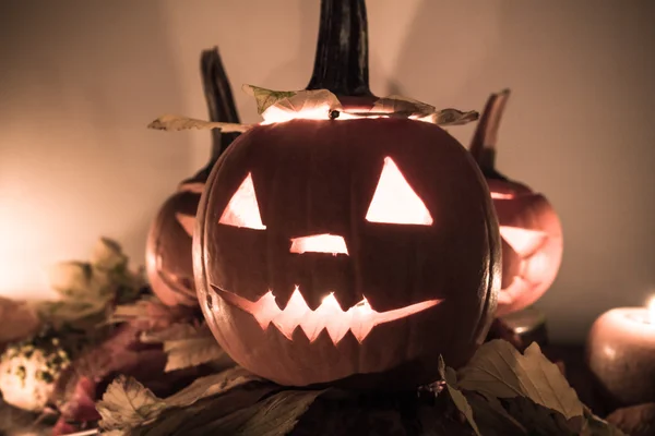 Halloween pumpa lyktor mörka ljus arga ansiktet faller — Stockfoto