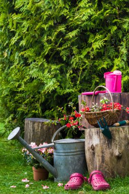 bahar bahçe bahçecilik aletleri araçları