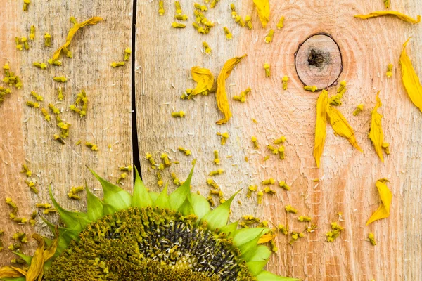 Hintergrund Blume Sonnenblumenkerne Holzarbeitsplatte — Stockfoto