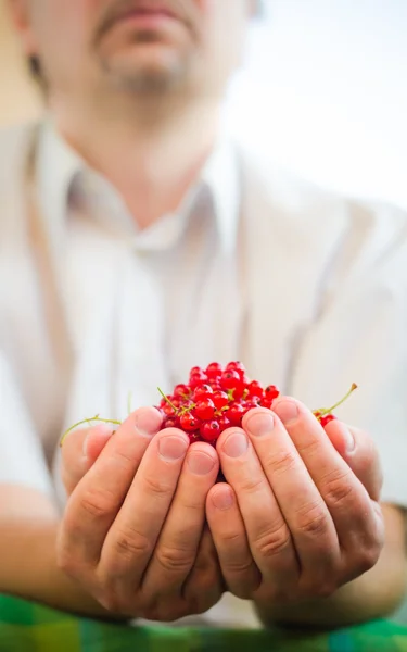 Freshly fruits red currant hands man — Stock Photo, Image