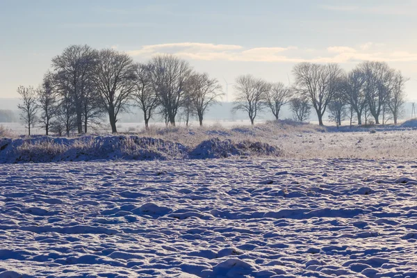 Winter landscape view fields forests covered snow — Stock Photo, Image