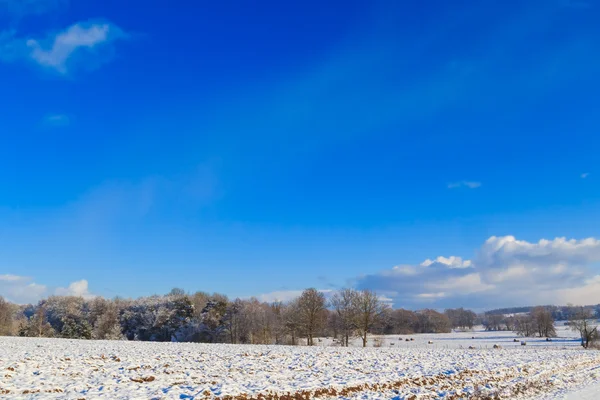 Inverno paisagem vista campos florestas coberto neve — Fotografia de Stock