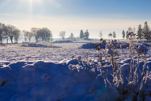 Peisaj de iarnă vedere câmpuri păduri acoperite zăpadă — Fotografie, imagine de stoc