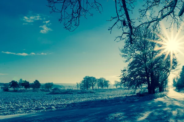 Winter landscape view fields forests covered snow rays sun — Stock Photo, Image