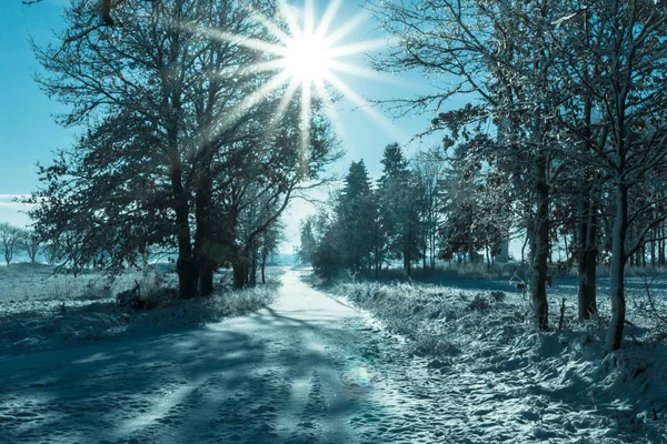 Winter landscape view fields forests covered snow rays sun — Stock Photo, Image