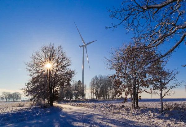 Winter landscape trees snow covered fields windmills — Stock Photo, Image