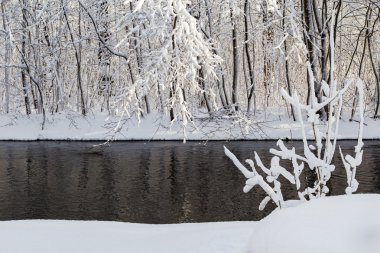 Kış manzara orman kar nehir su