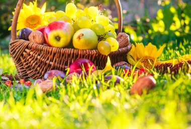 günbatımı ışığı tam meyve sepeti çimen