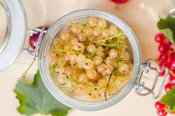 Fresh fruits  white red currants jars preparations — Stock Photo, Image