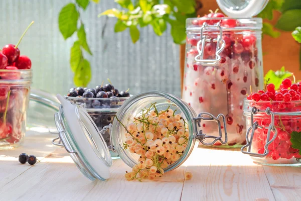 Preparation products processed fresh colorful summer fruits jars — Stock Photo, Image